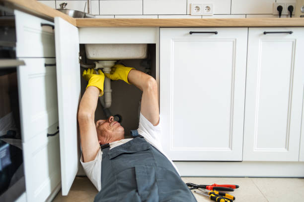 Best Residential Plumbing Services  in Robesonia, PA