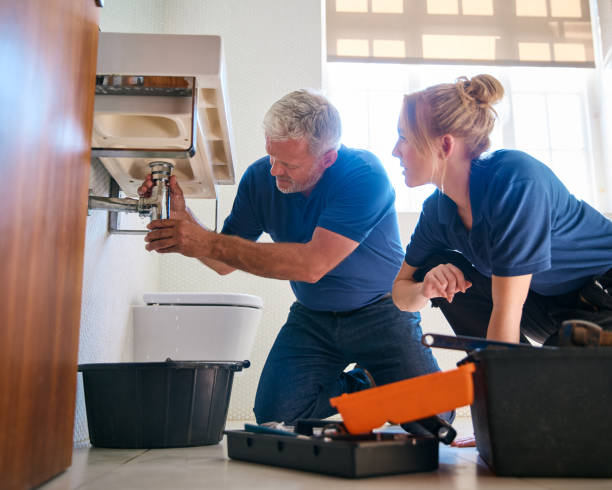 Best Local Plumber Services  in Robesonia, PA