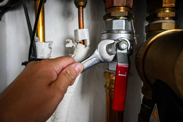 Best Same-Day Plumbing Service  in Robesonia, PA